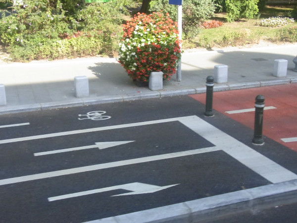 Was können Verkehrsentwicklungspläne für die städtische Mobilität leisten?